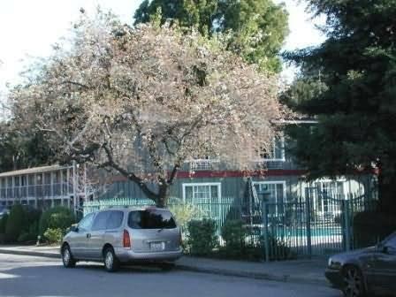 Oak Motel 3*